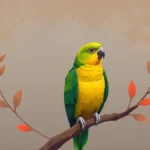 Conure Symbolism: Unlocking the Secrets of These Vibrant Bird Spirits