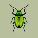 Cucumber Beetle Symbolism: Unlocking the Secrets of Nature's Tiny Tricksters