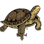 Ornate Box Turtle Symbolism: Exploring the Meaning and Significance