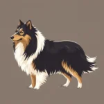 Shetland Sheepdog Symbolism: Exploring the Spiritual Significance of the Loyal Companion